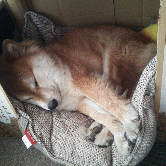 开云综合服务-意甲逆转中，球员深度谈战术调整的战场心理和操作细节，意甲进攻型球队